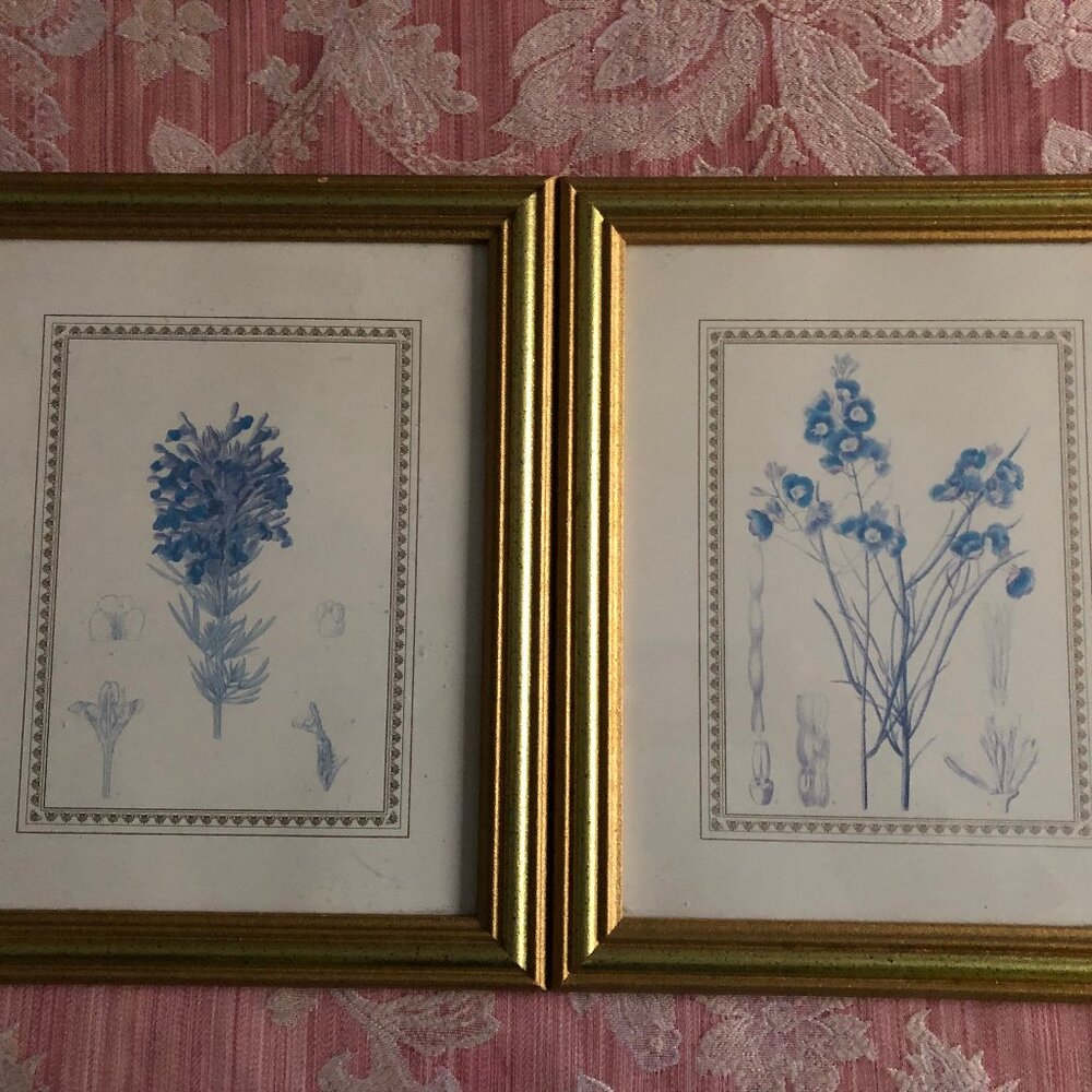 Two wall decor with flowers art prints and nice frames home decoration